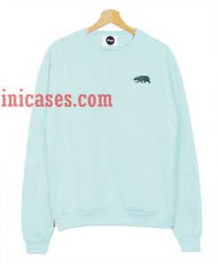 Bear pastel Sweatshirt for Men And Women