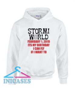 Stormi World Hoodie pullover